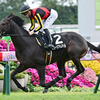 2024 - 朝日杯フューチュリティステークス（G1） - 予想・見解 / S-Johnny's - Garden