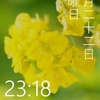 Windows Phone IS12T応援レポート６２・壁紙追加 #wp7jp