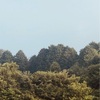 今朝の景色