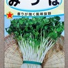 ミツバの水耕栽培に挑戦しています。今回は再生栽培ではなく、種から育ててみましょう