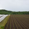 羊蹄山の湧き水を訪ねて