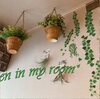 壁に植物を飾る　エアープランツ　フェイクグリーン