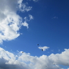 青空の鳶を羨む