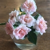 ミニ薔薇