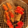 「ふくみ屋 焼肉野田店」で一人焼肉！アキレスやメガネ等の希少部位も堪能！アクセスは大阪環状線の野田駅もしくは大阪メトロ千日前線の玉川駅から徒歩すぐ