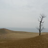 鳥取・島根家族旅行（第一日）