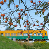 しぶ柿の木と地鉄電車