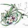 片すみで　涼しさを呼ぶ　ささやかに