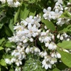 連休前の平日のうちに