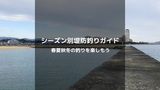 【四季の釣り】シーズンごとに堤防から釣れる魚と立ち回りを徹底解説！