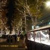 【日本のクリスマスマーケット巡り】おすすめの都市★東京丸の内イルミネーション / Marunouchi Street Park 2024 Winter🎄に行こう♪