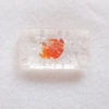 金魚