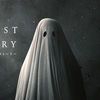 A GHOST STORY／ア・ゴースト・ストーリー　自分と出会いなおす死（ネタバレ）