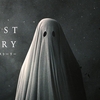 A GHOST STORY／ア・ゴースト・ストーリー　自分と出会いなおす死（ネタバレ）