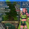 【ドラクエ10】明日で終了！貯めに貯めた10周年ふくびきを4000枚引くのは不毛の作業だった....