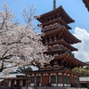 【2025桜満開の奈良】わたしは奈良派。近鉄三昧で奈良を巡ってみた！