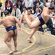 秋場所４日目の結果　大の里、安青錦も初黒星！全勝は琴櫻一人だけに