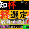 的中！！最終選定になります。小倉開催で開幕日ってことで、ここから行きたいと思います。。。。愛知杯2024