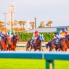 9月16日は「競馬の日」～競馬素人の私でも知ってる名馬をあげてみよう～