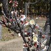 信仰者の成長を導く教会（4）キリストにある成長