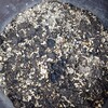 失敗続きのひよこ豆栽培