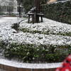 covered with snow
