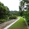 2023　6/24の拝観報告1（武田薬用植物園 研修会）