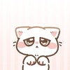 今年はいろいろ壊れます😰