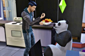 大都会成り上がりパンダ（21）