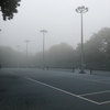 霧の中のテニス何かがおかしい