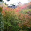 最も思い出に残る”紅葉”　京都の東福寺の紅葉