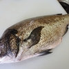釣り遠征の準備は結構不安になる