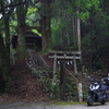 パワースポットツー　桑の川の鳥居杉と吉延の棚田