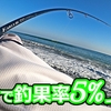 【#20】"ある液体"を塗ったら釣果率5％上がりました🐟in田原サーフ【釣行日2023/12/8(金)】