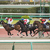 【動画あり】三浦皇成騎手　落馬負傷で休養中から、1年ぶりの復帰