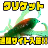 【Big Bite Baits】コオロギの形をした虫系ワーム「クリケット」通販サイト入荷！