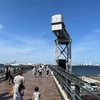 【ライフ】横浜散歩
