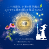 二十四節気 ７月７日より小暑、ふたご座パワー×七夕🎋×半夏生ラスト⭐️エキナセアは諦めた願い復活ハーブ🌿