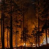 Caldor fire continues to rage after winds fan northern California blaze Zero containment of wildfire, one of about a dozen big blazes in drought-stricken state that have destroyed hundreds of homes