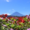 西湖から富士の樹海を散策