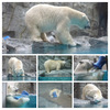 男鹿水族館。。。