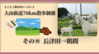 【大山街道70km散歩制覇】その⑩ 長津田→鶴間