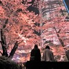 東京夜桜巡り⑦～毛利庭園　六本木ヒルズと共に～