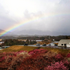 三重県の絶景　いなべ農業公園の梅林