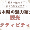 栃木県の魅力紹介　③観光、アクティビティ編