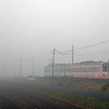 近江鉄道 2024　11/15-16
