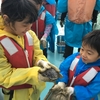 キッザニアは中学生にとって恥ずかしい？浮かない楽しみ方とおすすめアクティビティ完全ガイド！