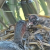 旅の秋、（まだ）子育ての秋、味覚の秋