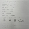 明日の未来数学の問題が完成！今後の未来数学の可能性！