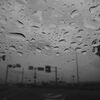 雨を想う